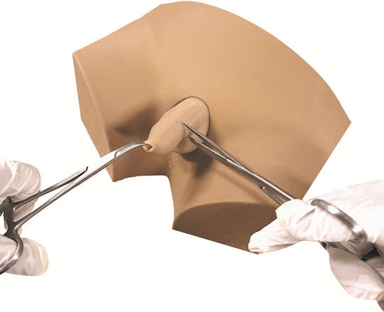 Erler Zimmer Manechin de antrenament medical