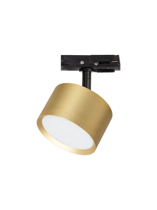Eko Light Monos Spot cu Soclu null în Culoare Auriu