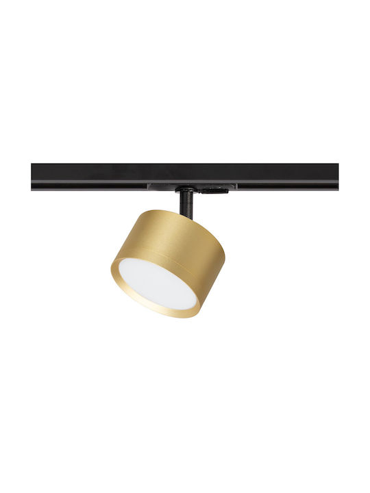 Eko Light Monos Spot cu Soclu null în Culoare Auriu