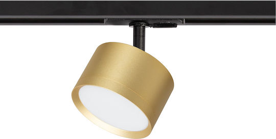 Eko Light Single Spot with Socket GX53 in Gold Color