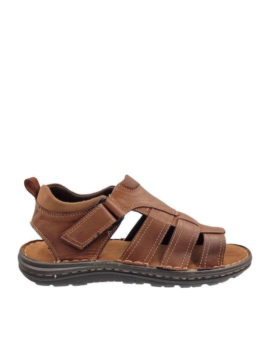 Gale