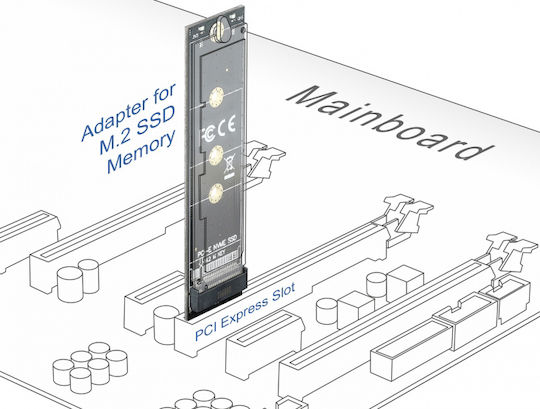 DeLock Κарта PCIe в порт PCI-E / M.2