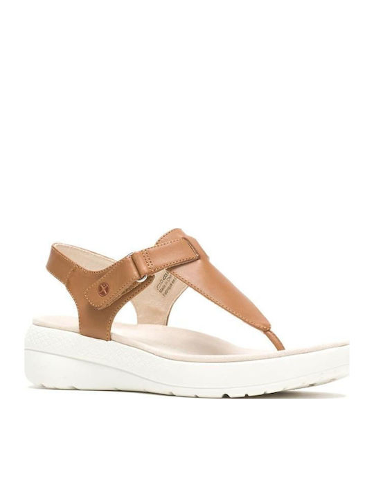Hush Puppies