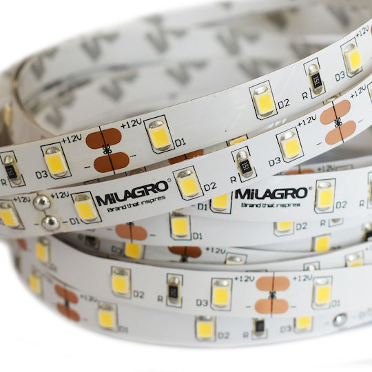 Eko Light Waterproof LED Strip 5m