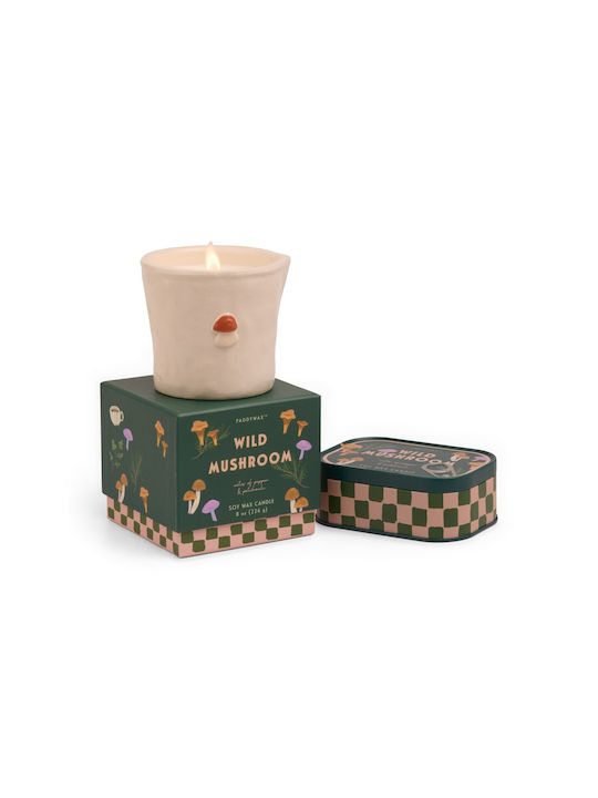 Дива гъба Растителен восък 226g Керамичен буркан Бистро гъба Paddywax
