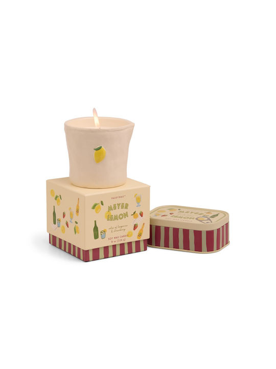 Meyer-Zitrone Pflanzenwachs 226g Keramikglas Bistro Zitrone Paddywax