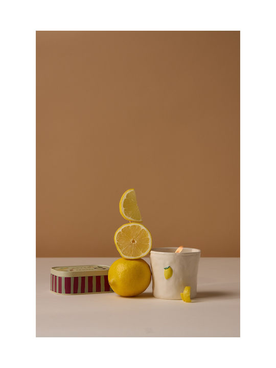 Meyer-Zitrone Pflanzenwachs 226g Keramikglas Bistro Zitrone Paddywax