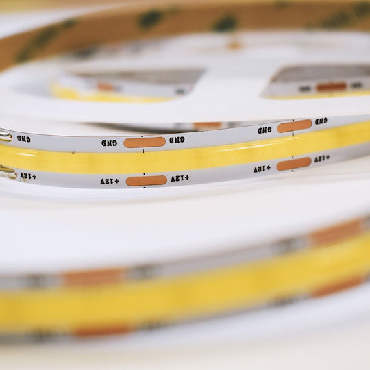 Eko Light LED Strip 5m Type COB