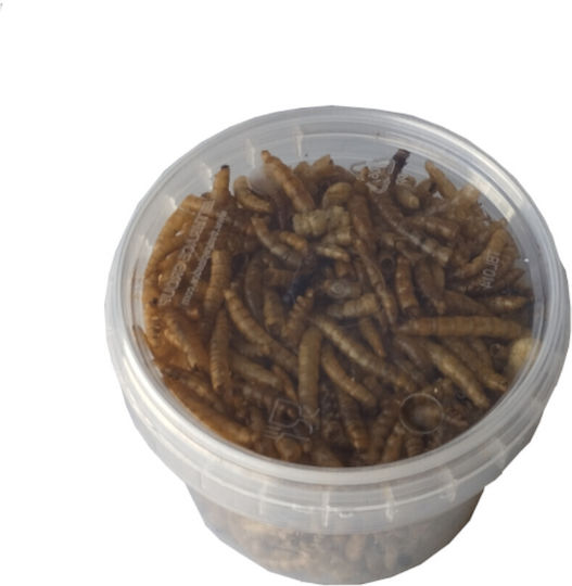 Dried Mealworms 10630100 20gr