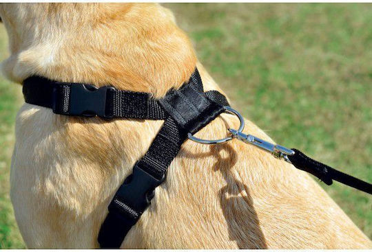Zolux Sicherheitsgurt Autozubehör für Hunde Schwarz 25mm Schwarz