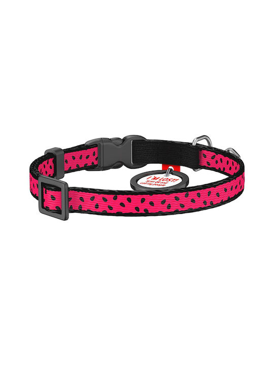 WauDog Dog Collar