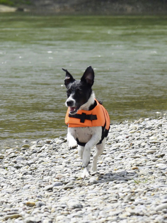 Kerbl Dog Life Jacket Waterproof 36x48-60cm