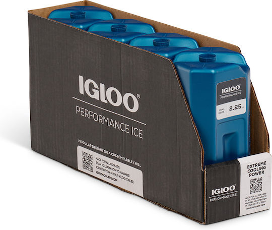 Igloo Mini Ice Brick 1020gr 41046