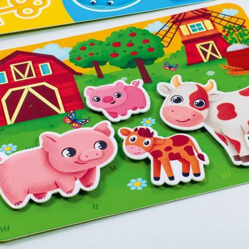 Roter Kafer Educational Game Knowledge