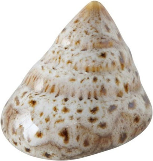 Shells Decorative Porcelain Shells 4 Pieces