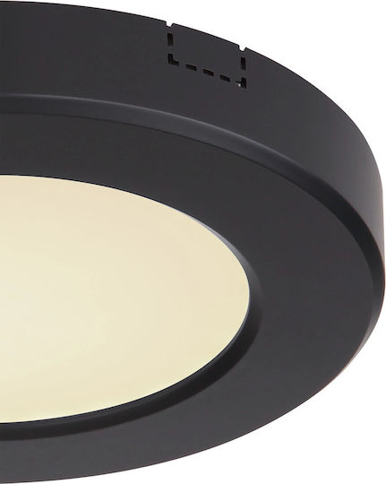Globo Lighting Lasse Monos LED Alb Rece Spot în Culoare Negru