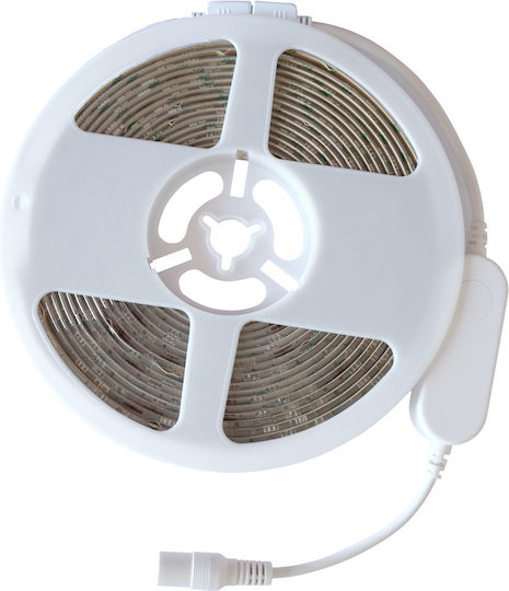 Eko Light Wasserdicht Smart LED-Streifen Wi-Fi 12V RGBW Licht 5m