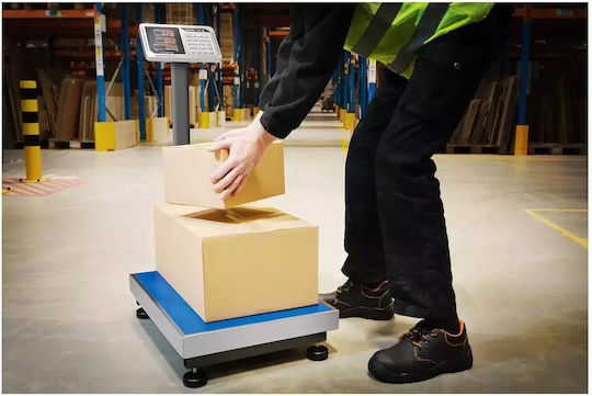 Steinberg Systems Balkenwaage mit Säule mit einer Wiegekapazität von 150kg und einer Unterteilung von 20gr