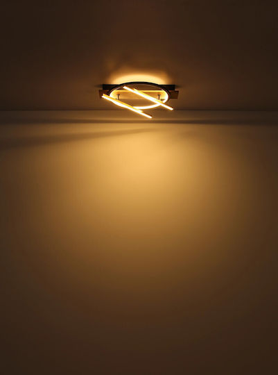 Globo Lighting Draußen LED Panel 32W