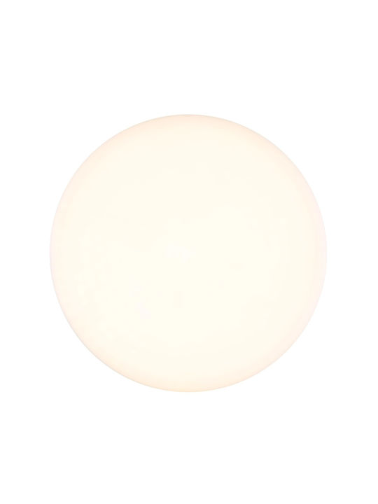 Globo Lighting LED Panel 12W with Natural White Light 4000K