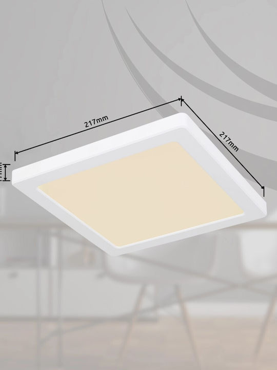 Globo Lighting Квадрат На открито LED Панел 18W с Регулируемо бяло Светлина 21.7x21.7см.