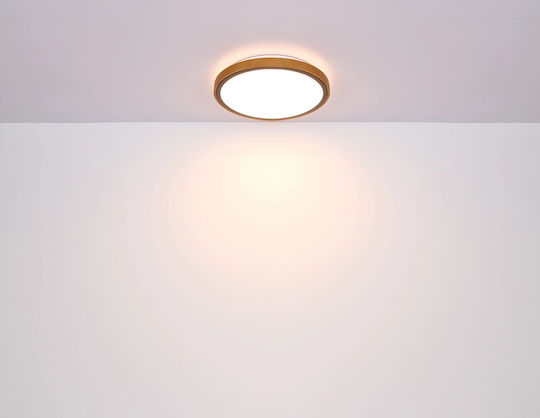 Globo Lighting Кръгла На открито LED Панел 12W с Студено бяло Светлина 6000К 30.9см.