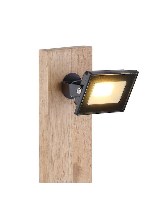 Globo Lighting LED Office Lamp in Black Color
