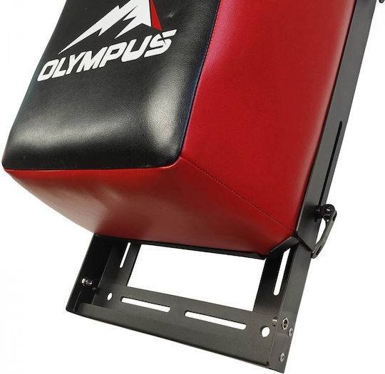 Olympus Sport Wall Mounted Target Pad
