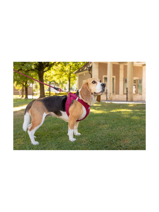Curli Dog Harness Vest Clasp Air-Mesh Red Medium 45-50cm PN2806