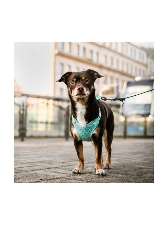 Dingo Anti-pressure - Dog Harness - 49-69 Cm