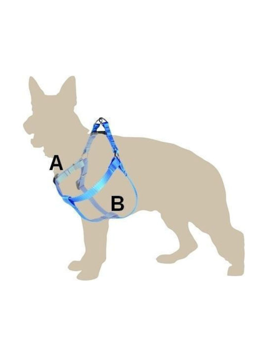 Dingo Μωβ