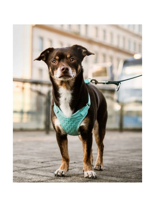 Dingo Anti-druck - Hundegeschirr - 39-51 Cm