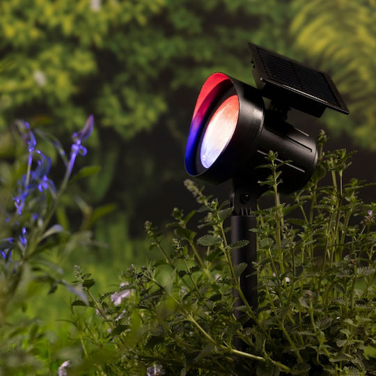 Lumineo Set of 2 Stake Solar Lights 25lm 13cmx11cmx42.5cmcm
