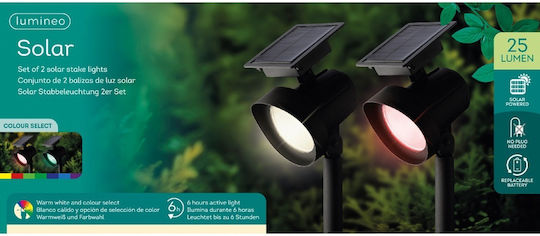 Lumineo Set of 2 Stake Solar Lights 25lm 13cmx11cmx42.5cmcm