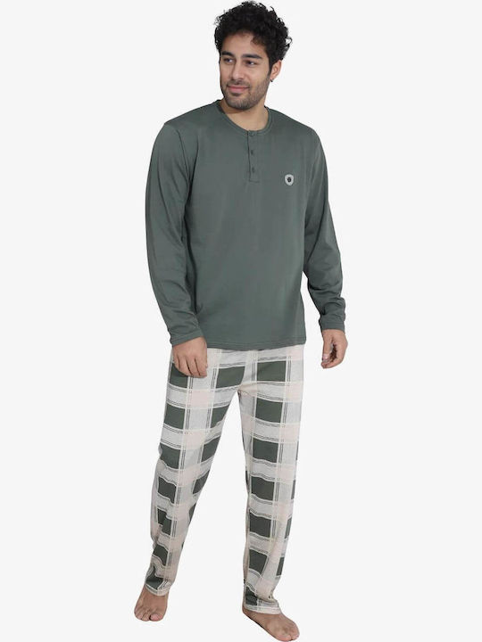 Boyraz Olive