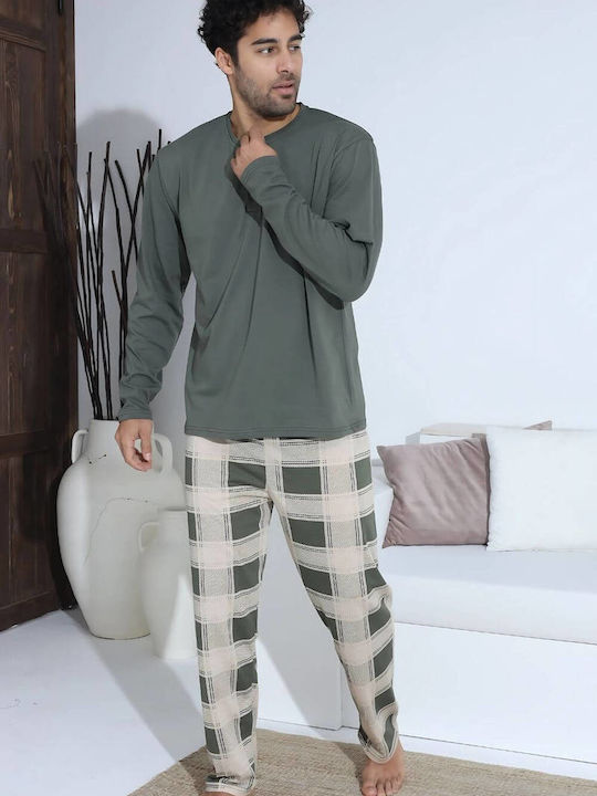 Boyraz Olive