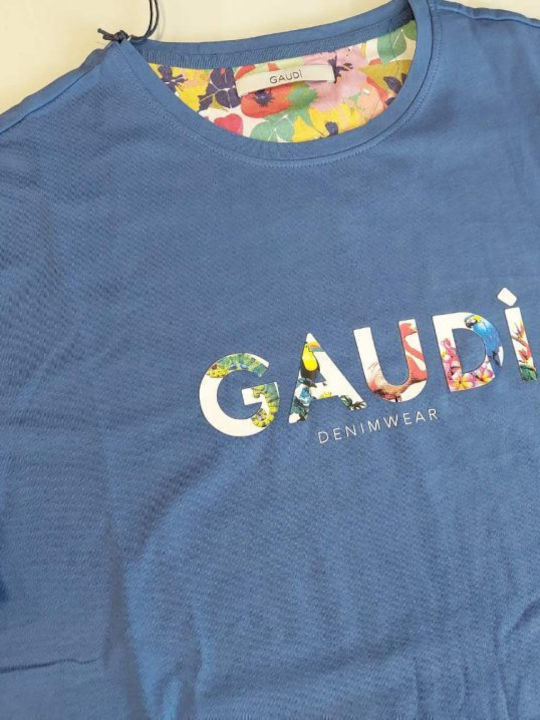 Gaudi