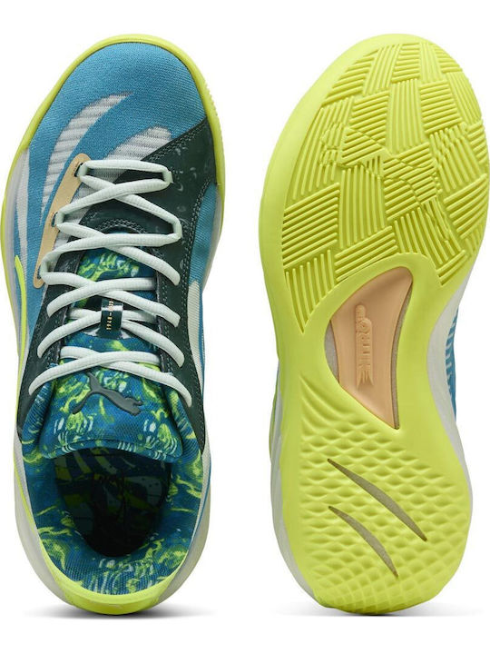 All-pro Nitro Low Basketball Shoes Multicolour