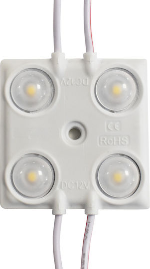 LED-Modul 1,5W 4000K IP65