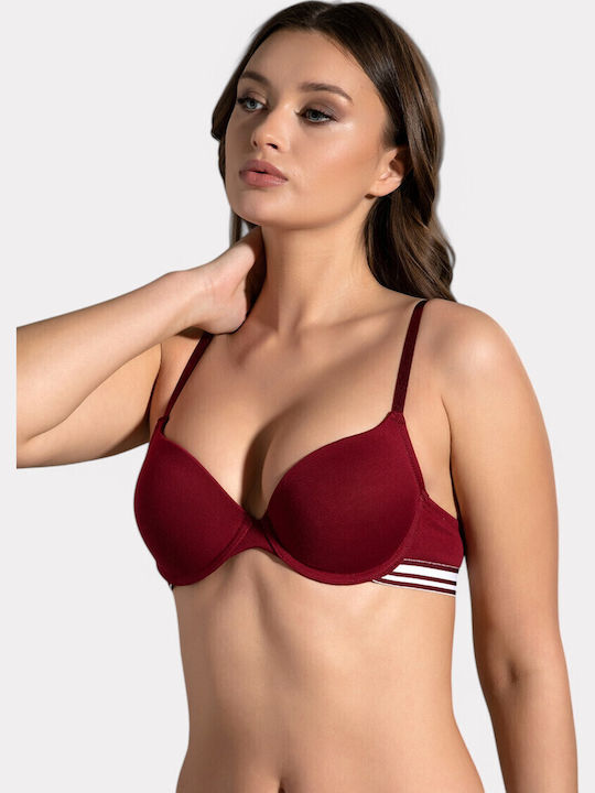 New Bra Lingerie New Bra Lingerie
