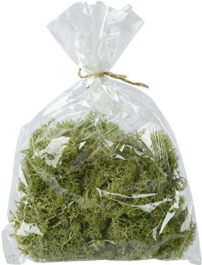 Decorative Moss Mat Green Pack 50g Kaemingk 707409