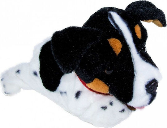 Madej Plüschhund