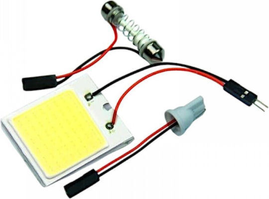 Raistar Λάμπα Αυτοκινήτου LED 6000K Ψυχρό Λευκό 12V