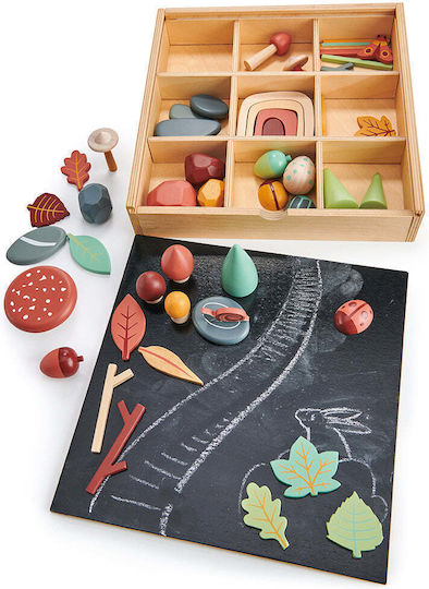 Tender Leaf Toys Αντικείμενα του Δάσους Educational Game Knowledge made of Wood for 3+ years Years Old