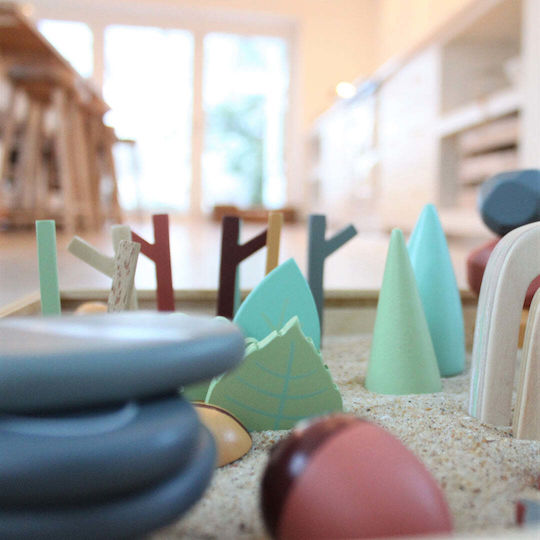 Tender Leaf Toys Αντικείμενα του Δάσους Educational Game Knowledge made of Wood for 3+ years Years Old