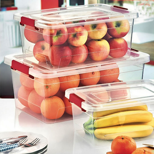 Viosarp Plastic Cutie de Depozitare cu Capac Transparent 22x14x10cm 1buc