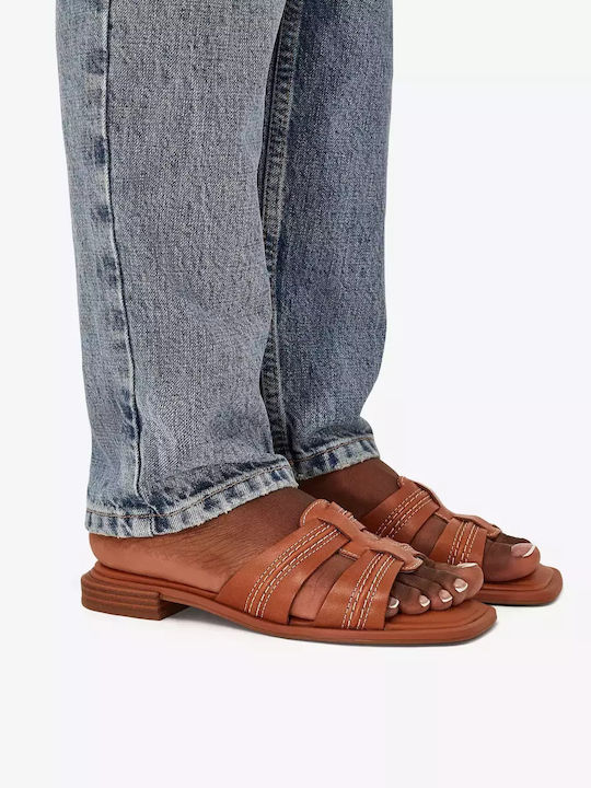 Clarks