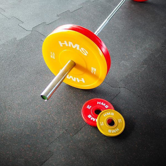 HMS Set of Plates Olympic Type 2 x 2.5kg Φ50mm