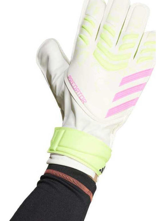 adidas Pred Gl Trn Γάντια Τερματοφύλακα Ενηλίκων Λευκά