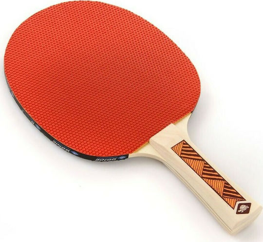 Donic Champs 200 Ρακέτα Ping Pong για Αρχάριους Παίκτες
